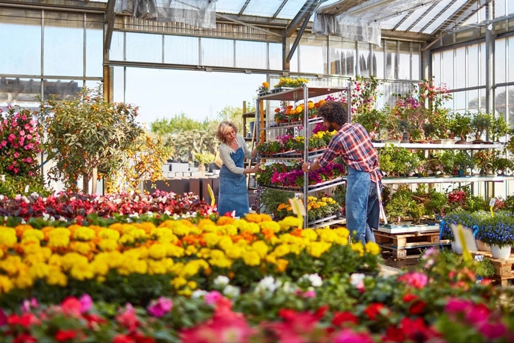 flower trolley