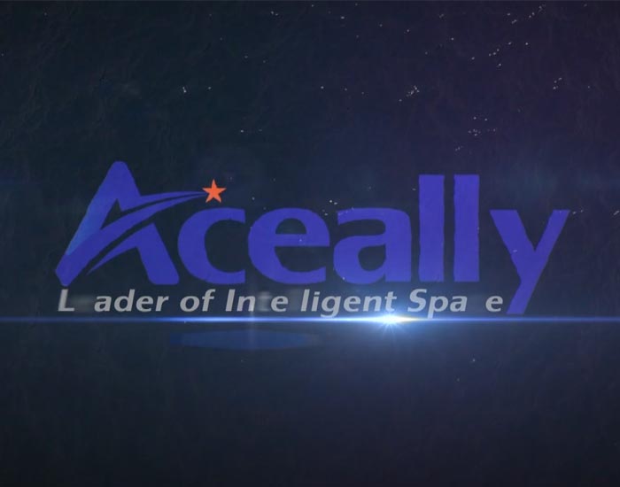 Aceally Video