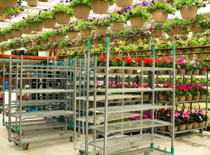 Greenhouse flower trolley for transportation