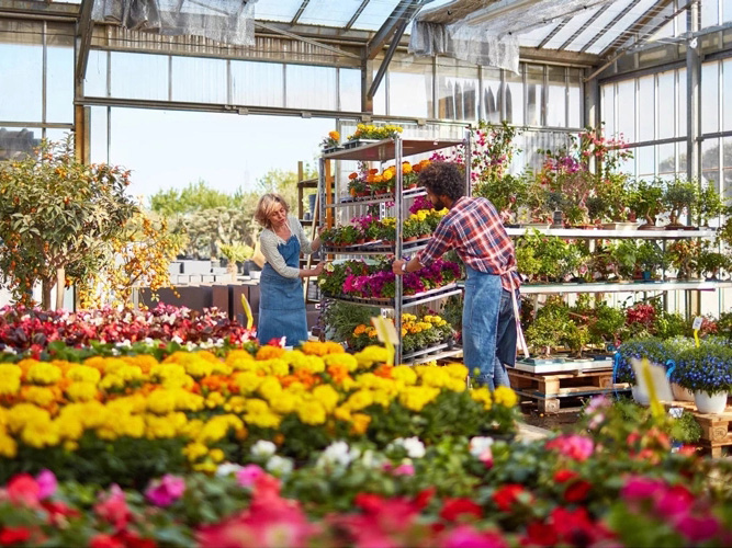 How do flower trolley solve the problems of lighting, drainage and space?